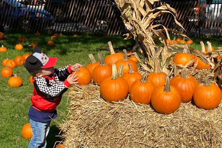 Pumpkin Patch at Dvorak at Dvorak (Anton) Park