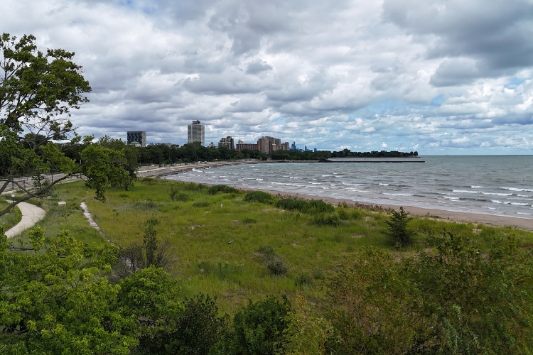 Chicago Shoreline Plan: Public Webinar at Online