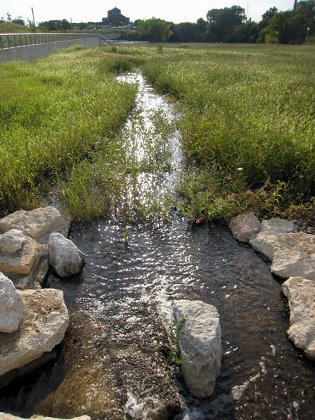 Narrow stream flowing through tall grass.