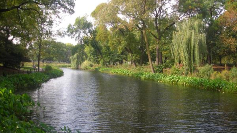 A tranquil stream flows through a park, bordered by lush green vegetation and trees.