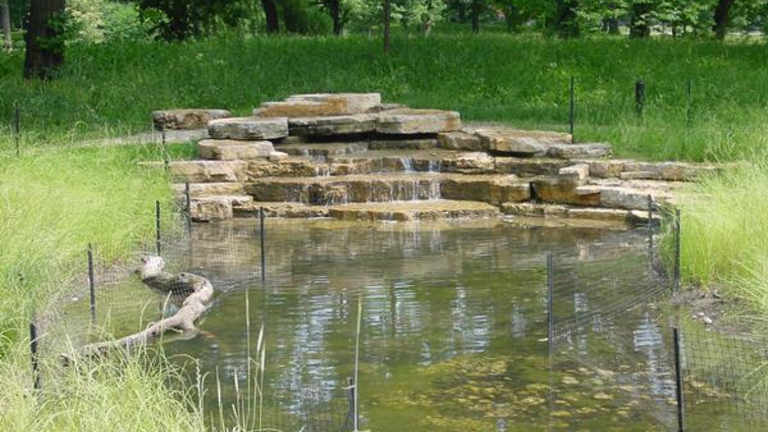 Small, tiered waterfall flows into a pond in a park setting.