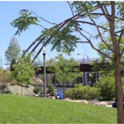 Modern pedestrian bridge over roadway in a park setting.