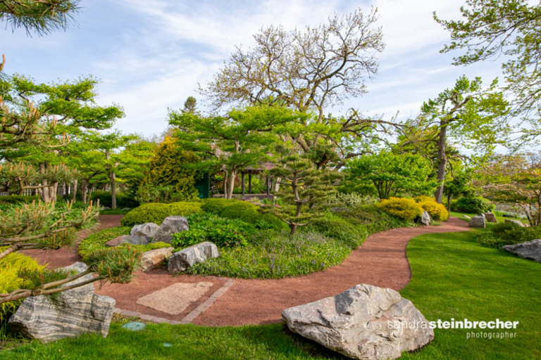 A winding gravel path through a lush Japanese garden with a gazebo, various trees, shrubs, and large rocks.