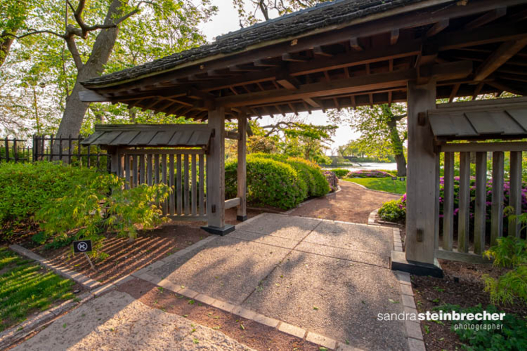 Wooden gate to a Japanese garden.