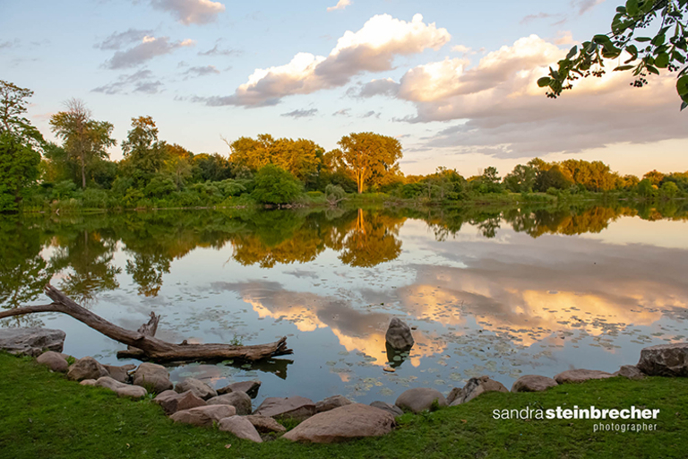 Serene sunset reflected in a calm lake, with a log and rocks in the foreground. Photograph.