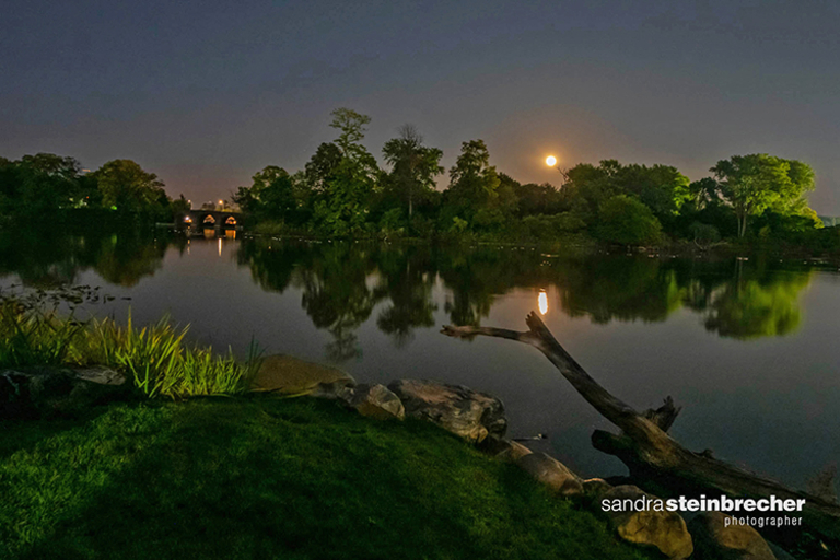 Moonlit night over calm water with bridge and trees in background.
