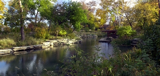 Tranquil stream flows through a garden in autumn.