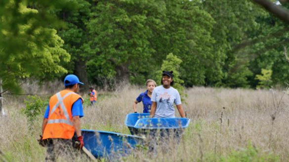 Volunteers carrying wheelbarrows in a field.