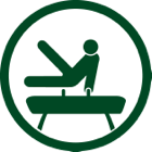 Gymnast performing on a pommel horse.
