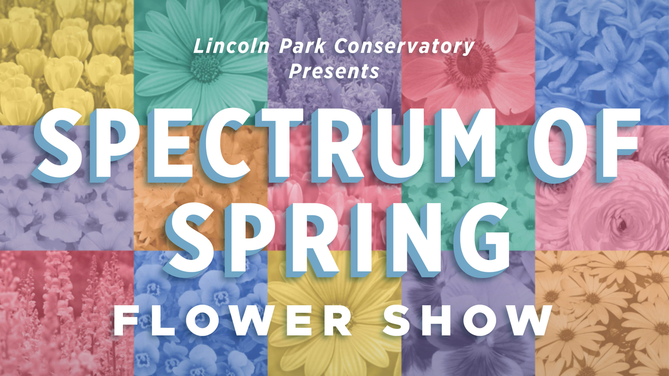 Spectrum of Spring Flower Show graphic with colorful pastel flower photos. Lincoln Park Conservatory presents.