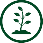 Green sprout icon.