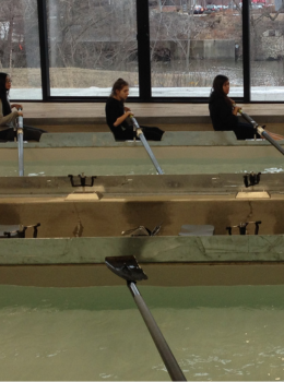 Three rowers practice indoors on rowing tanks.