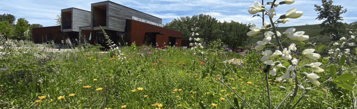 Slideshow of five nature photos in the parks