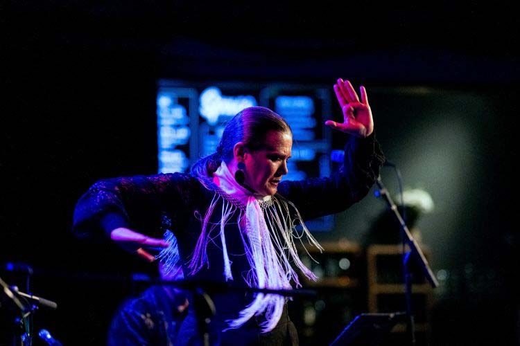 Photograph of a flamenco dancer in a black dress with fringes performing on stage.