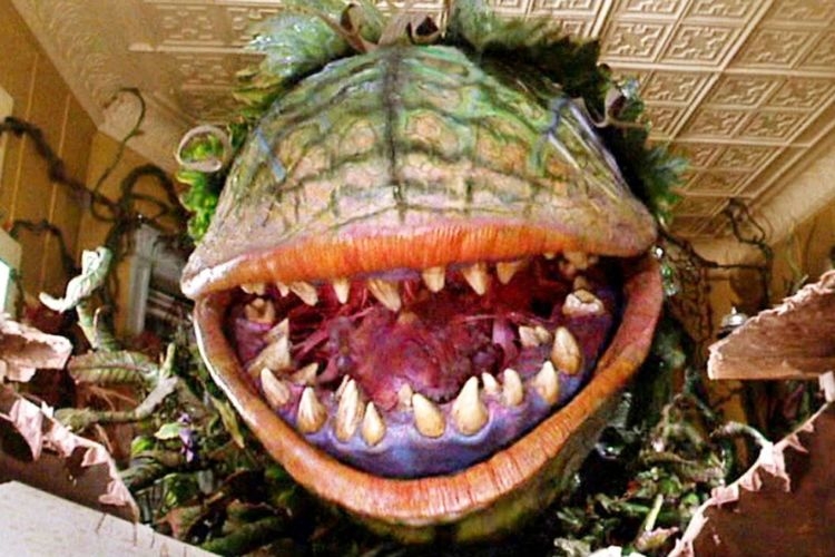 Photograph of a giant, toothy, green Venus flytrap creature.
