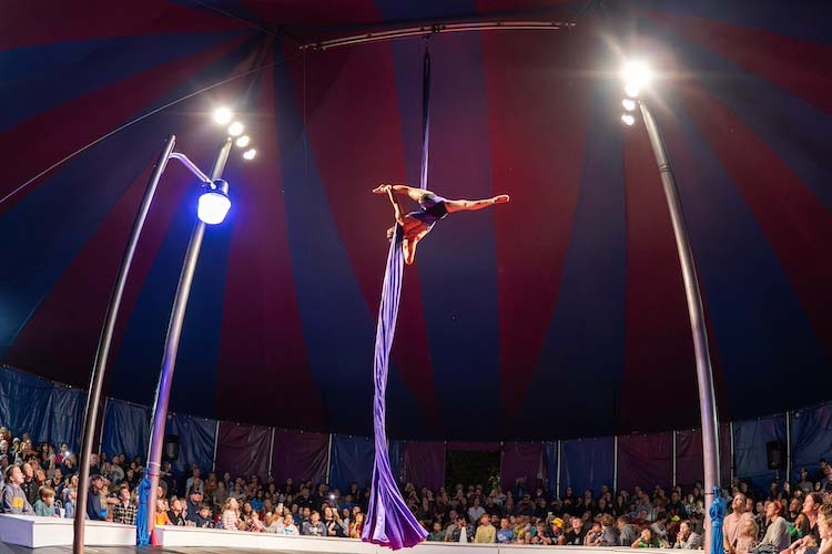 Photograph of an aerial silk performer hanging from a purple cloth in a circus tent.