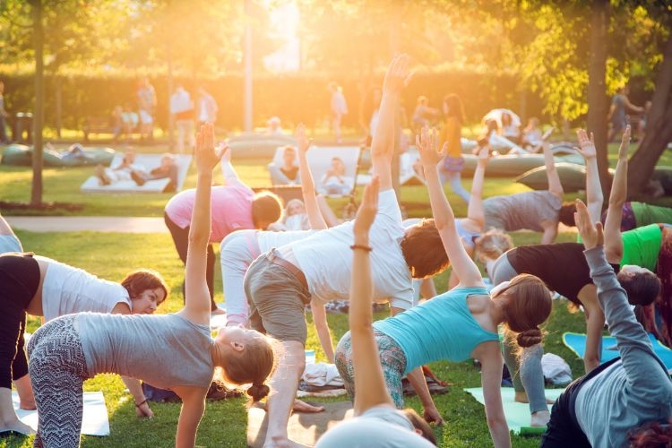 A group of people practicing yoga in a sunny park at sunset.