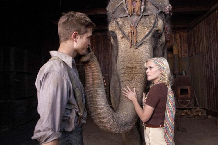 A photograph of a man and woman interacting with a circus elephant inside a wooden barn.