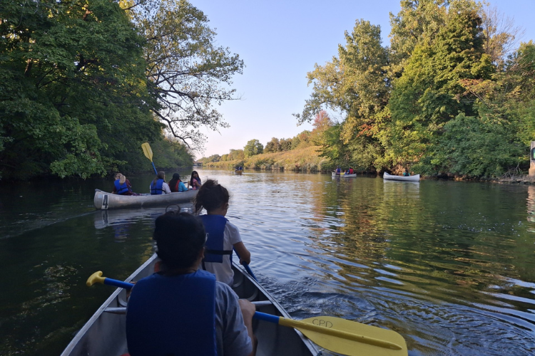 Photograph of several canoes filled with people paddling down a scenic, tree-lined river.