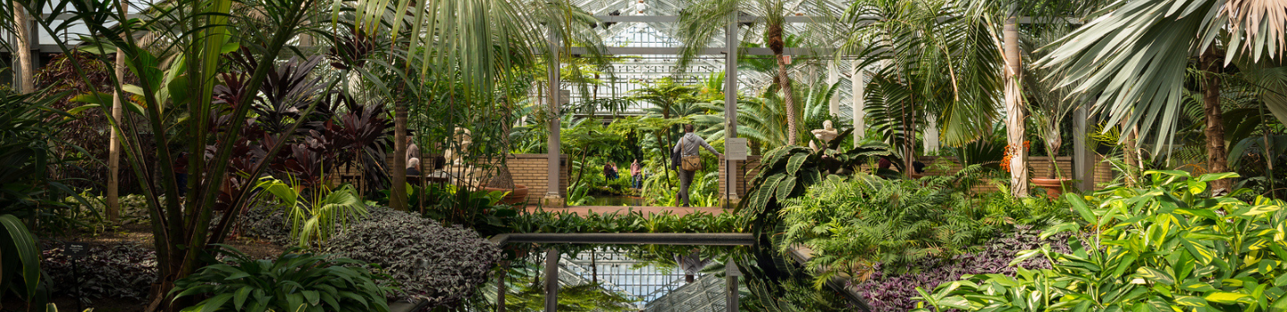 Conservatories & Greenhouse.png Lush tropical plants surrounding a reflecting pool inside a greenhouse. People stroll on a walkway in the background.