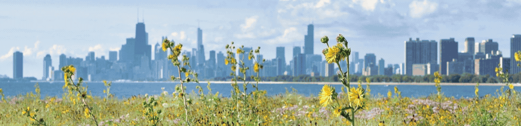 caring for nature in the city