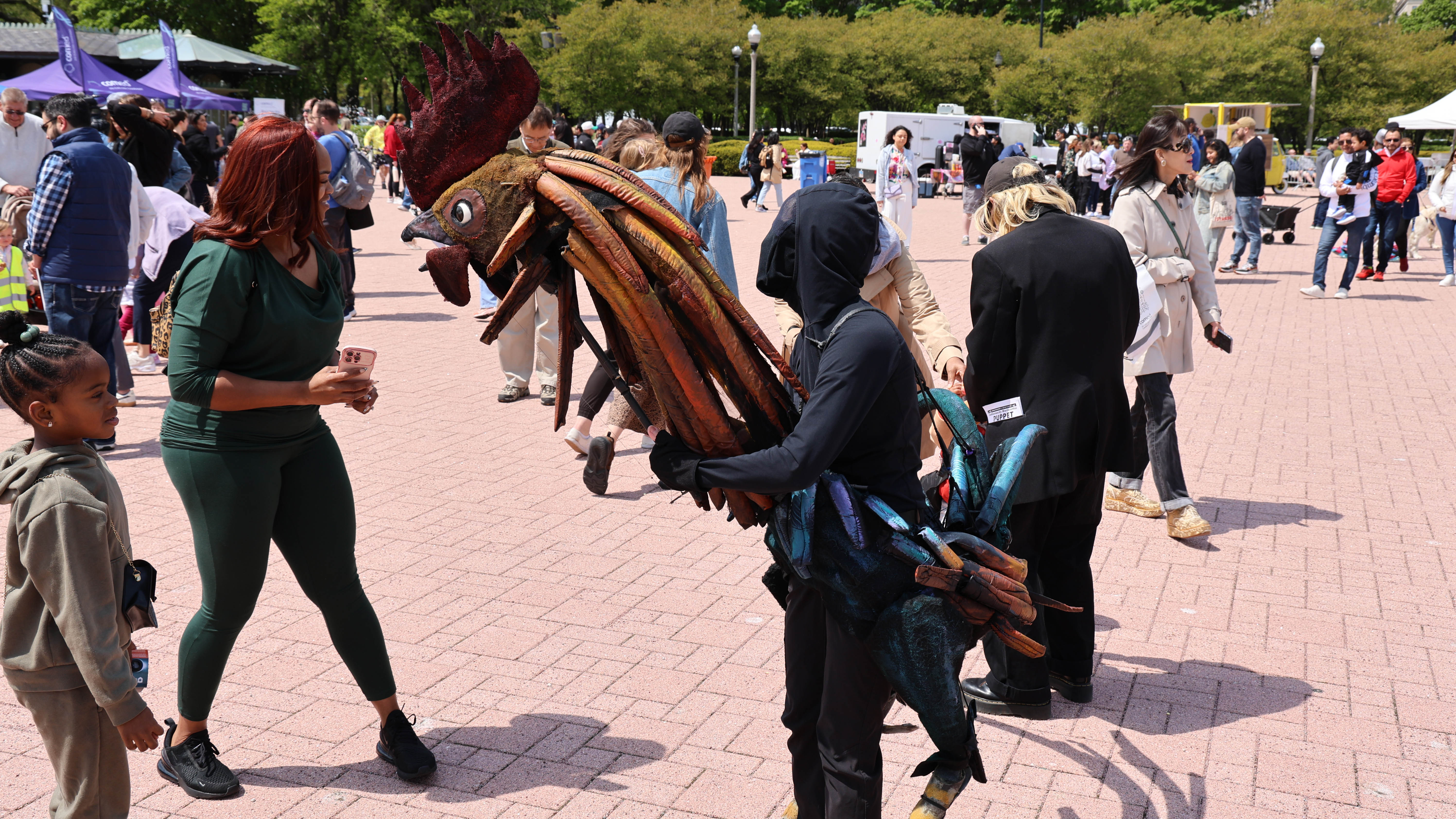 Large rooster puppet with a person in a black hooded costume operating it at an outdoor festival.