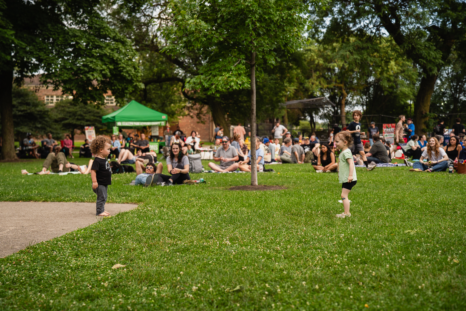 Two toddlers stand on the grass near a paved area in a park, facing each other with a crowd of people sitting further back.