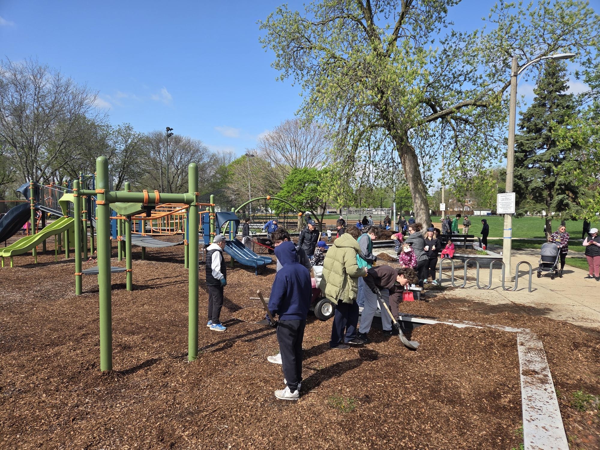 Volunteers spread mulch at a sunny park playground.