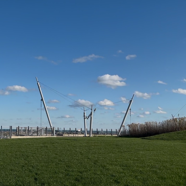 Metal cable structure in a grassy park by the water.