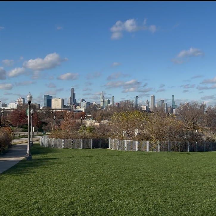 Chicago skyline from a grassy park.