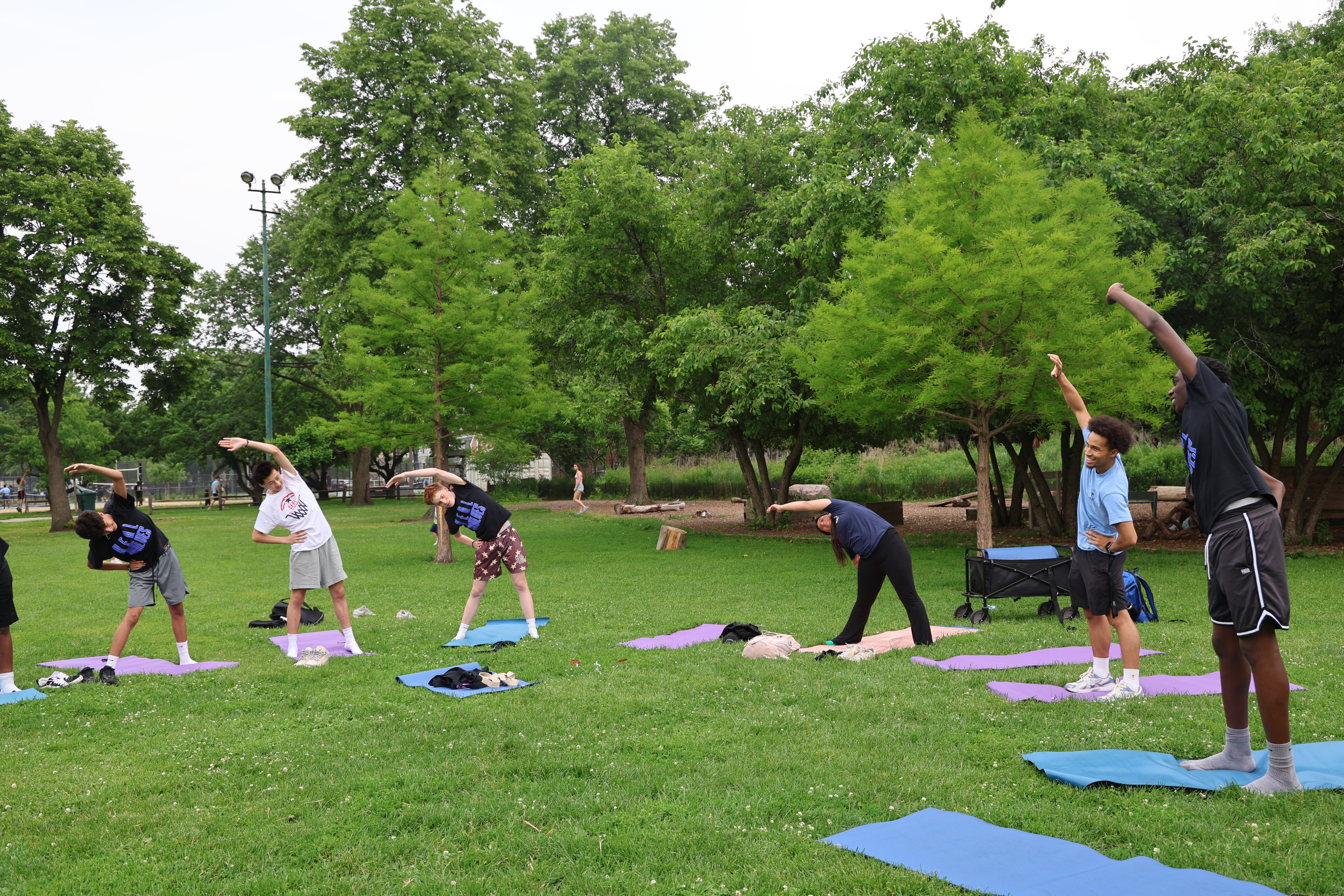 People stretching on yoga mats in a grassy park.