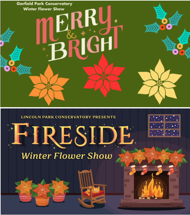 Flyers for conservatory winter flower shows.