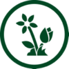 Stylized green flower and tulip icon.
